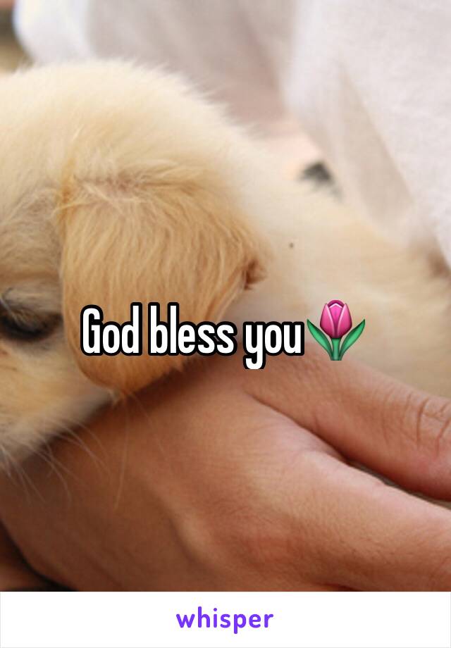 God bless you🌷 