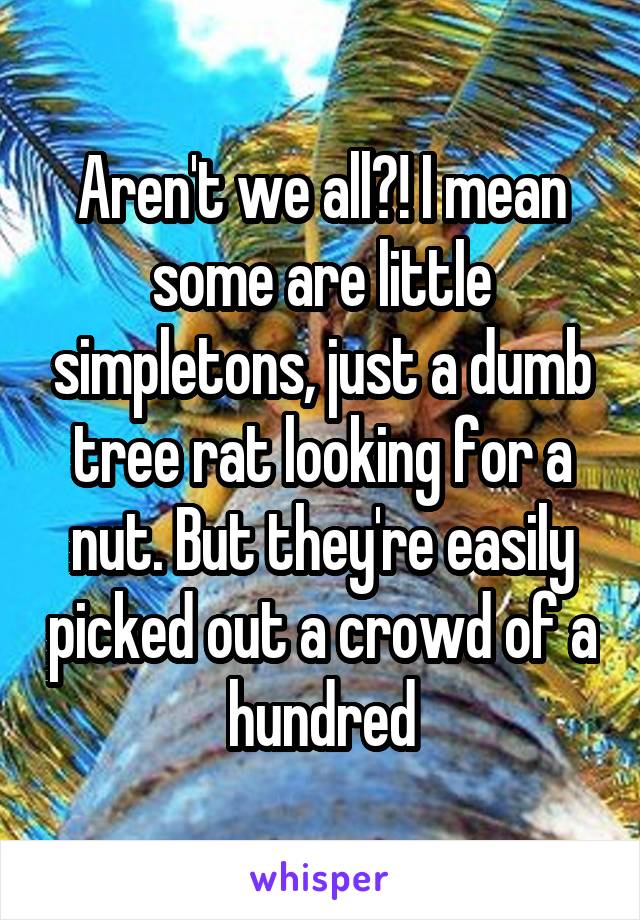 Aren't we all?! I mean some are little simpletons, just a dumb tree rat looking for a nut. But they're easily picked out a crowd of a hundred