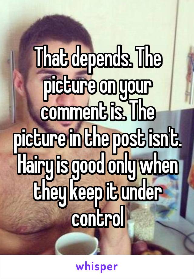 That depends. The picture on your comment is. The picture in the post isn't. Hairy is good only when they keep it under control