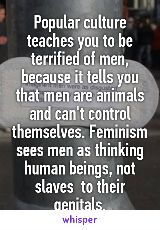 Popular culture teaches you to be terrified of men, because it tells you that men are animals and can't control themselves. Feminism sees men as thinking human beings, not slaves  to their genitals.