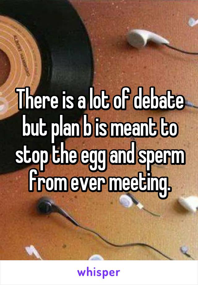 There is a lot of debate but plan b is meant to stop the egg and sperm from ever meeting.