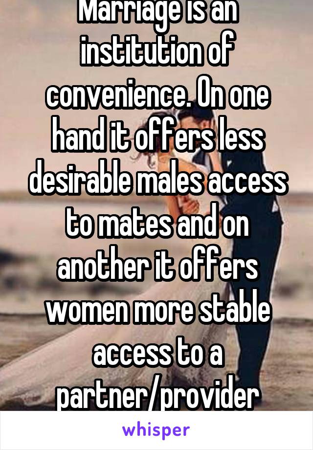 Marriage is an institution of convenience. On one hand it offers less desirable males access to mates and on another it offers women more stable access to a partner/provider (ostensibly)