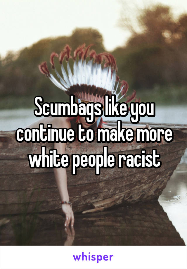 Scumbags like you continue to make more white people racist