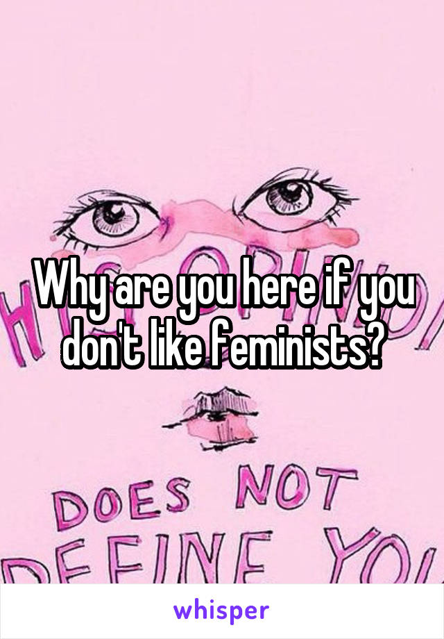 Why are you here if you don't like feminists?