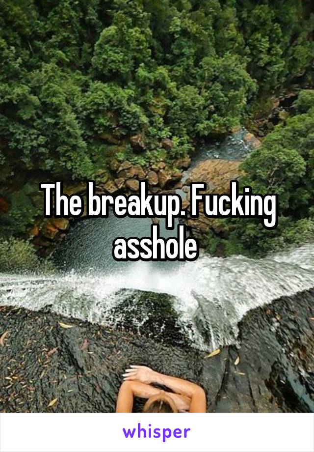 The breakup. Fucking asshole 