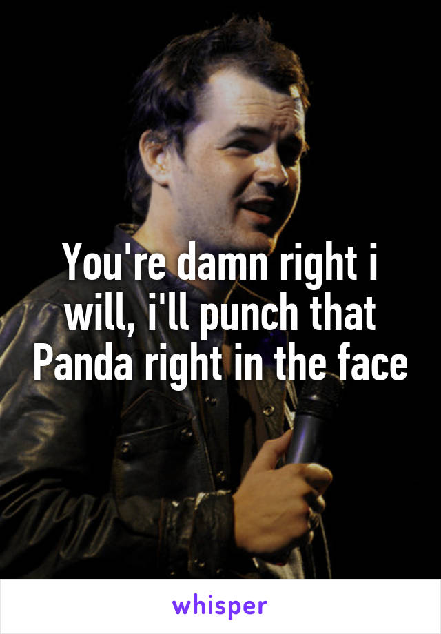 You're damn right i will, i'll punch that Panda right in the face