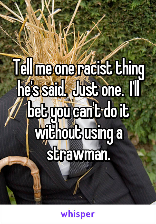 Tell me one racist thing he's said.  Just one.  I'll bet you can't do it without using a strawman.