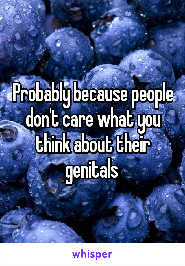 Probably because people don't care what you think about their genitals 