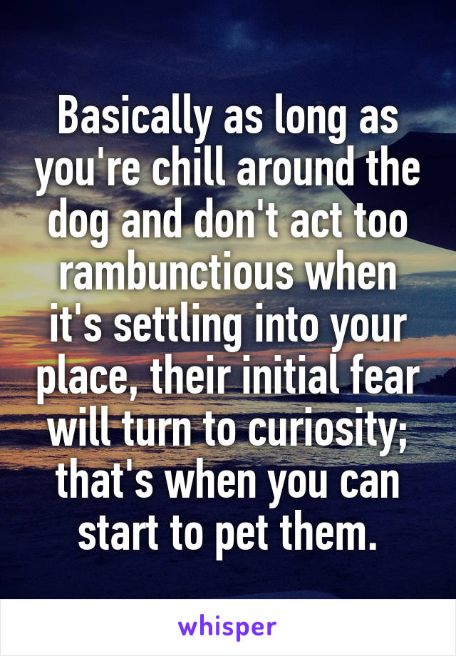 Basically as long as you're chill around the dog and don't act too rambunctious when it's settling into your place, their initial fear will turn to curiosity; that's when you can start to pet them.