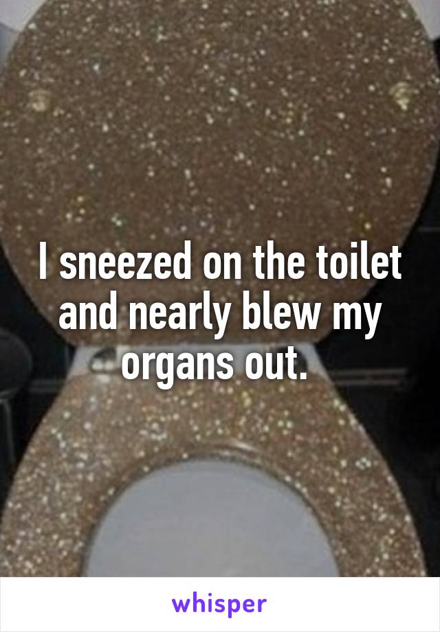 I sneezed on the toilet and nearly blew my organs out. 
