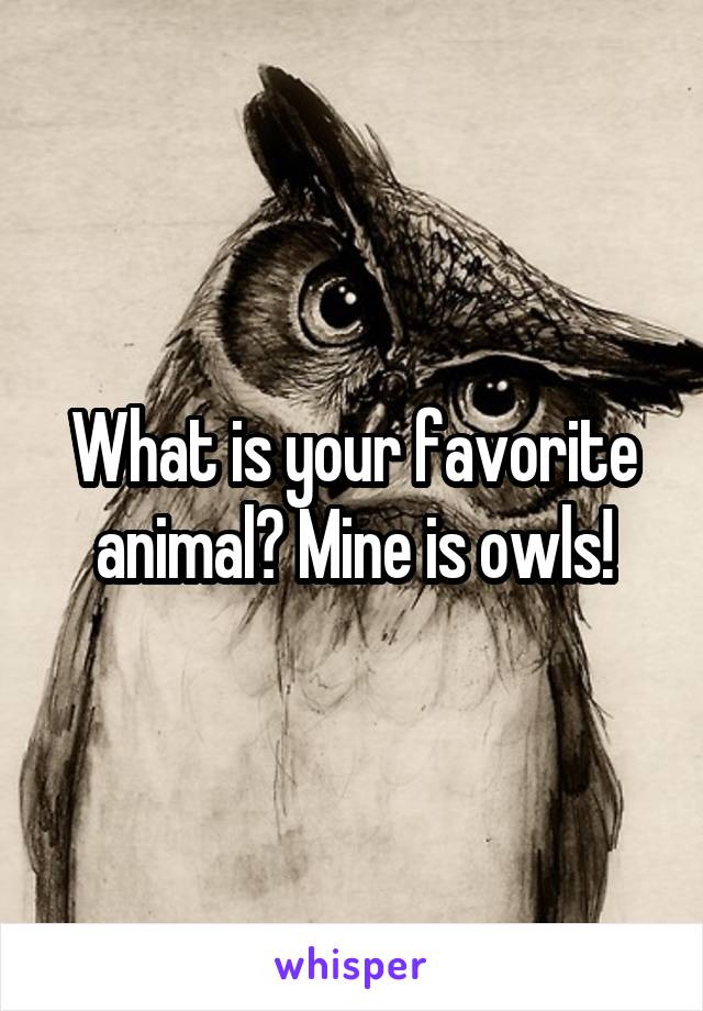 What is your favorite animal? Mine is owls!