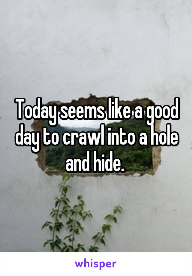 Today seems like a good day to crawl into a hole and hide. 
