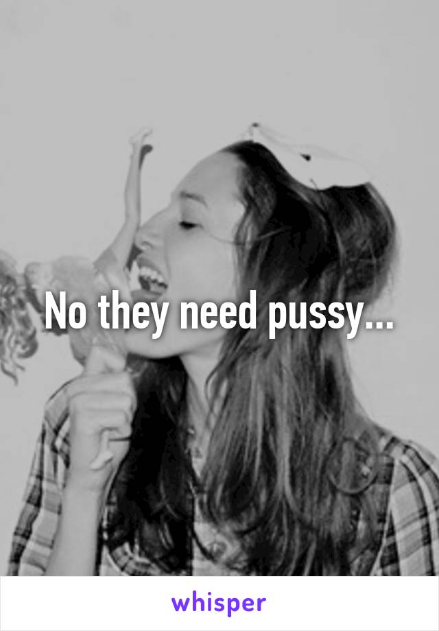 No they need pussy...
