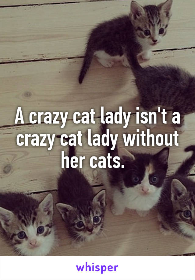 A crazy cat lady isn't a crazy cat lady without her cats.  