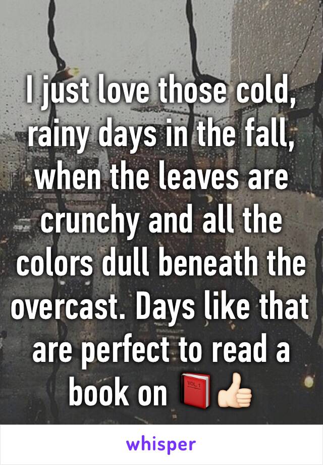 I just love those cold, rainy days in the fall, when the leaves are crunchy and all the colors dull beneath the overcast. Days like that are perfect to read a book on 📕👍🏻