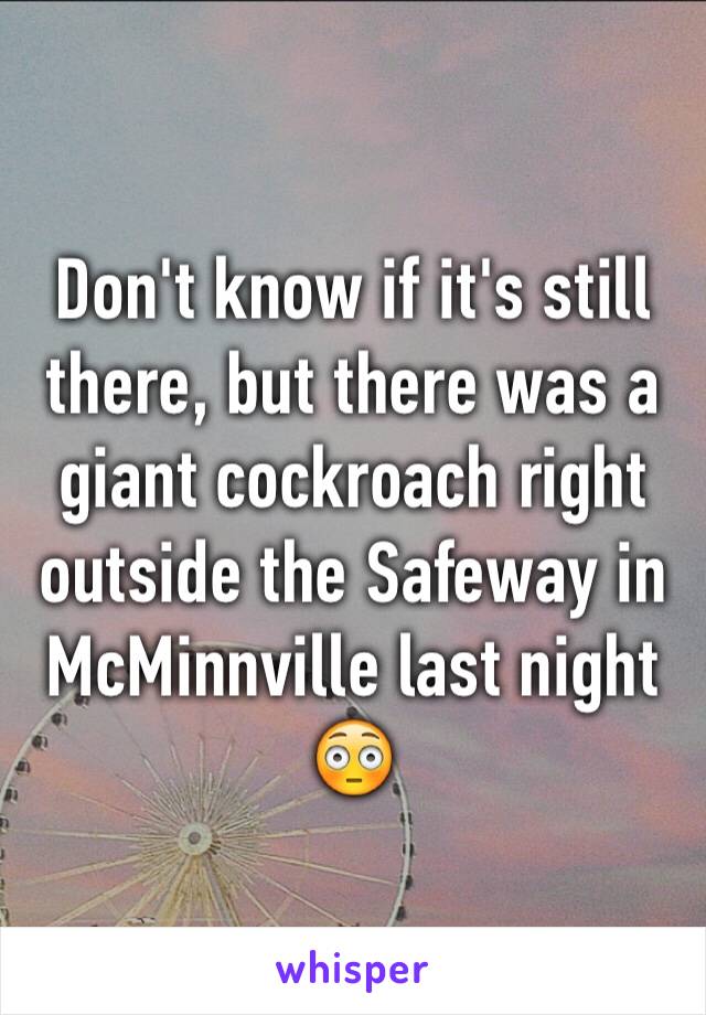Don't know if it's still there, but there was a giant cockroach right outside the Safeway in McMinnville last night 
😳