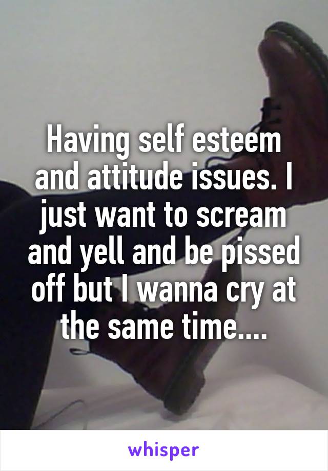 Having self esteem and attitude issues. I just want to scream and yell and be pissed off but I wanna cry at the same time....