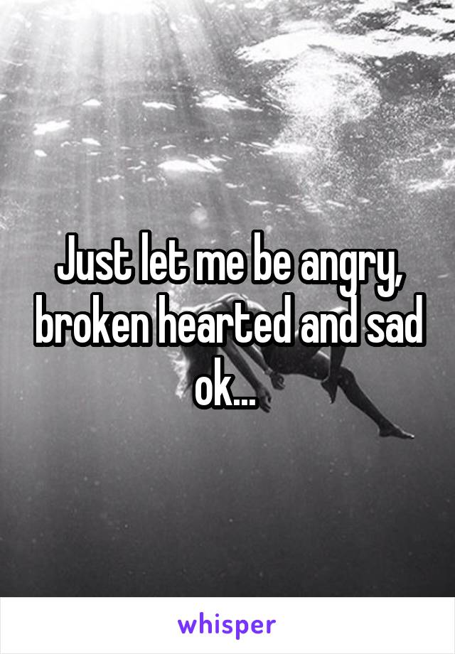 Just let me be angry, broken hearted and sad ok... 