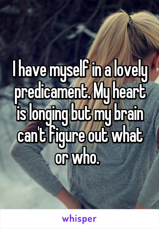 I have myself in a lovely predicament. My heart is longing but my brain can't figure out what or who.  