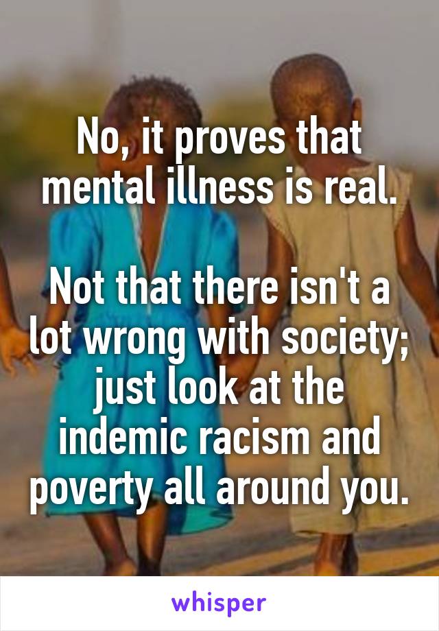 No, it proves that mental illness is real.

Not that there isn't a lot wrong with society; just look at the indemic racism and poverty all around you.