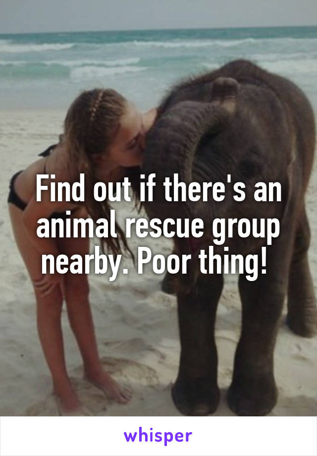 Find out if there's an animal rescue group nearby. Poor thing! 
