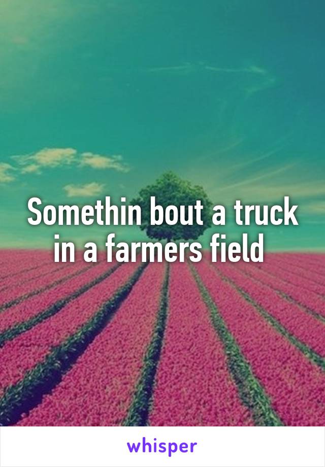 Somethin bout a truck in a farmers field 