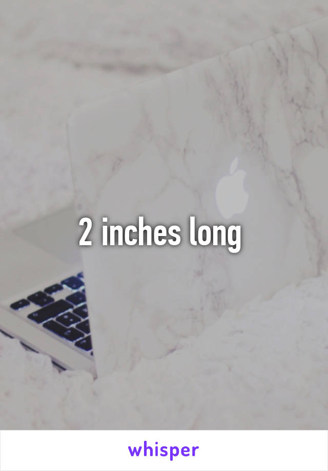 2 inches long 
