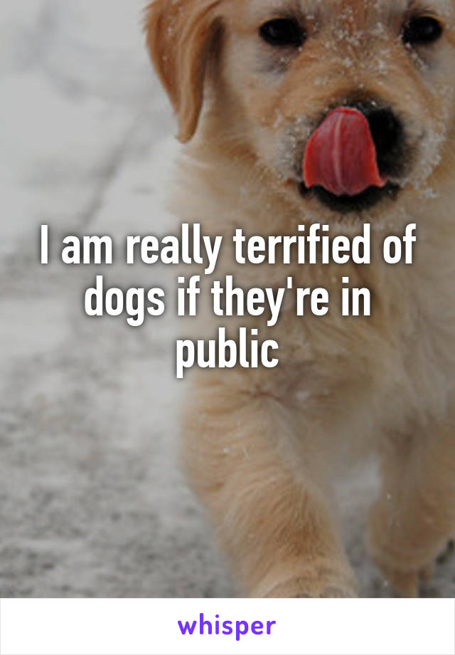 I am really terrified of dogs if they're in public

