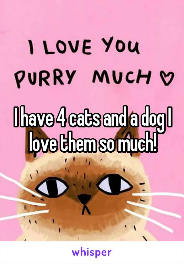 I have 4 cats and a dog I love them so much!