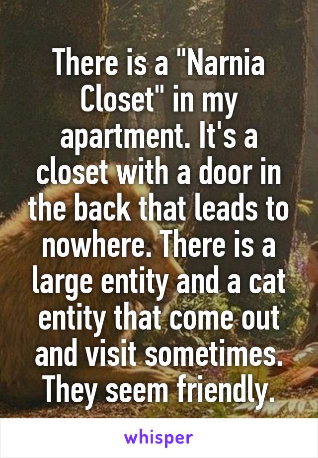 There is a "Narnia Closet" in my apartment. It's a closet with a door in the back that leads to nowhere. There is a large entity and a cat entity that come out and visit sometimes. They seem friendly.