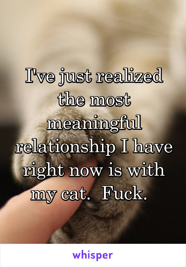 I've just realized the most meaningful relationship I have right now is with my cat.  Fuck.  