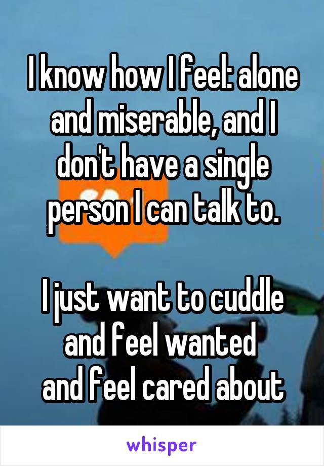 I know how I feel: alone and miserable, and I don't have a single person I can talk to.

I just want to cuddle and feel wanted 
and feel cared about