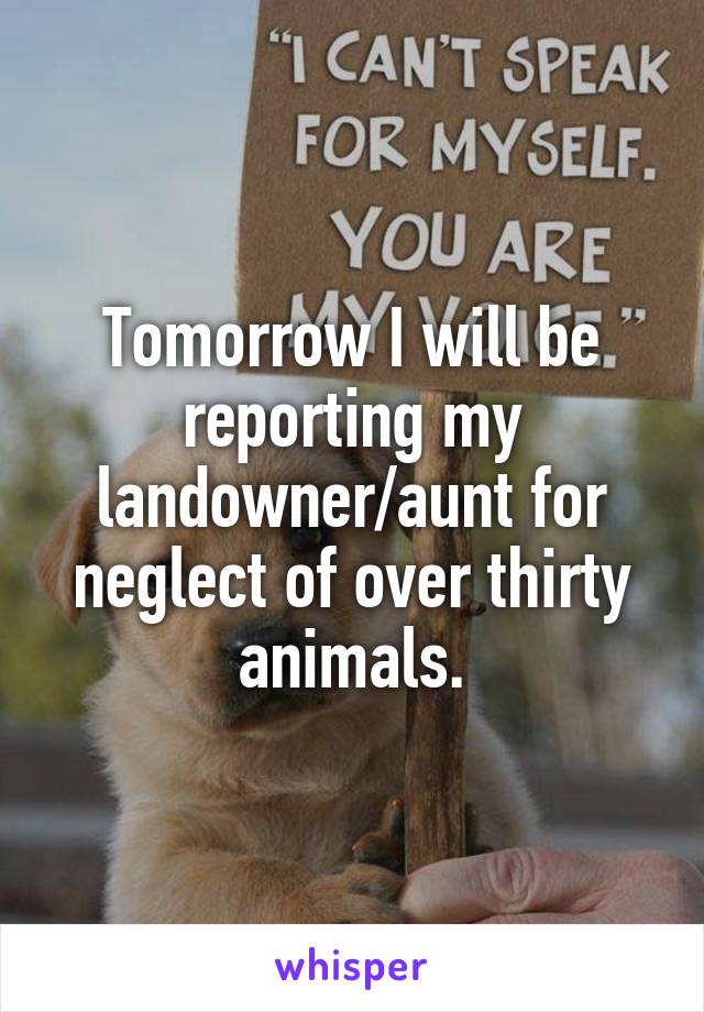 Tomorrow I will be reporting my landowner/aunt for neglect of over thirty animals.