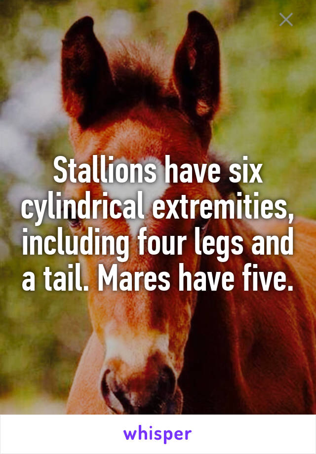 Stallions have six cylindrical extremities, including four legs and a tail. Mares have five.