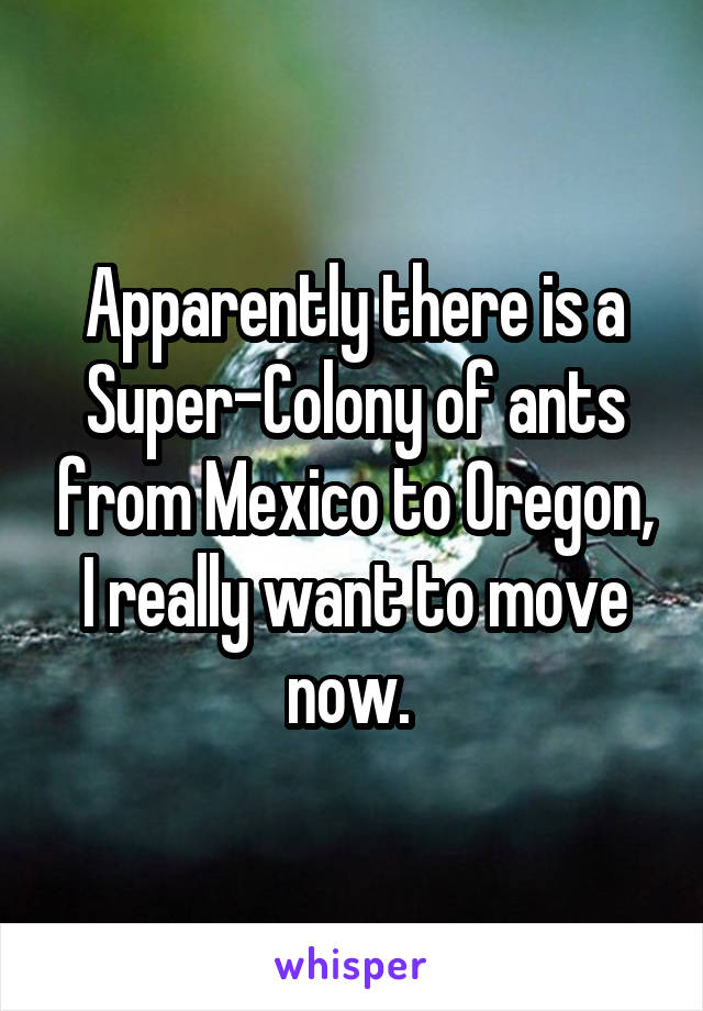 Apparently there is a Super-Colony of ants from Mexico to Oregon, I really want to move now. 