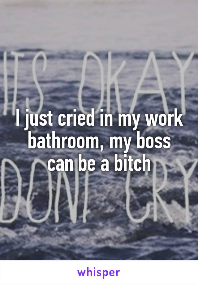 I just cried in my work bathroom, my boss can be a bitch
