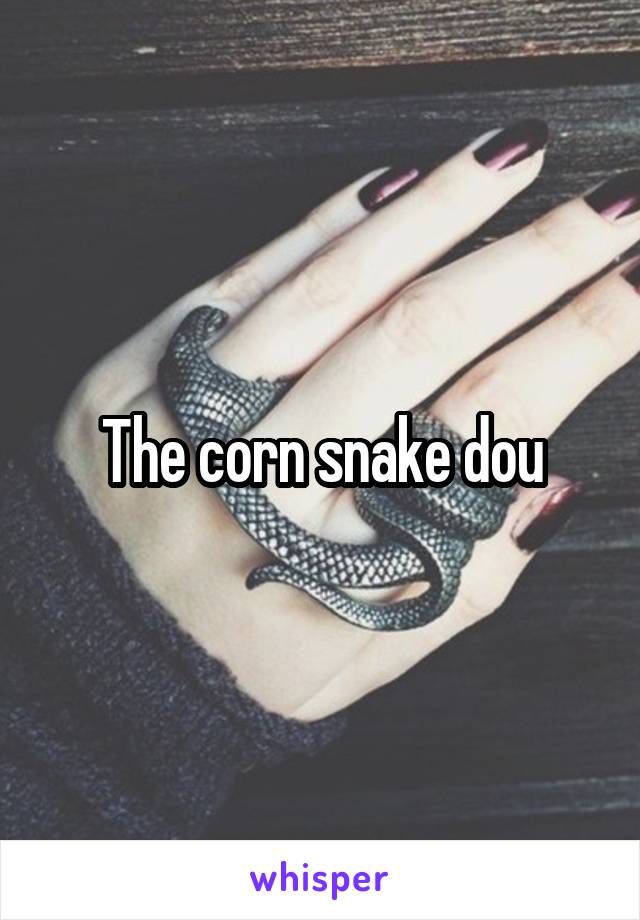 The corn snake dou