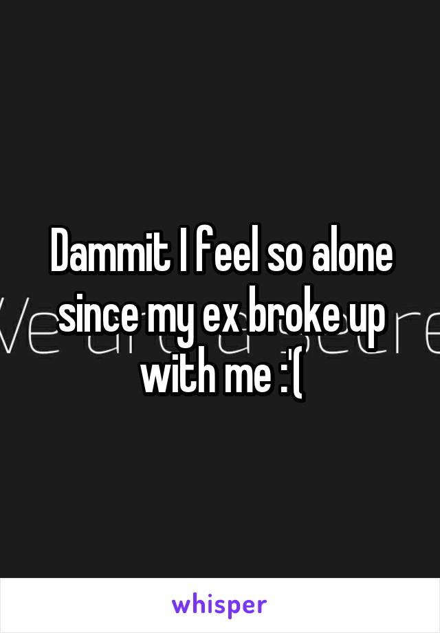 Dammit I feel so alone since my ex broke up with me :'(