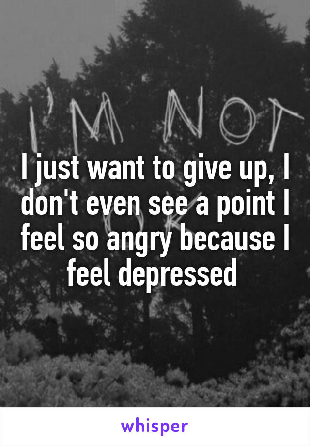 I just want to give up, I don't even see a point I feel so angry because I feel depressed 