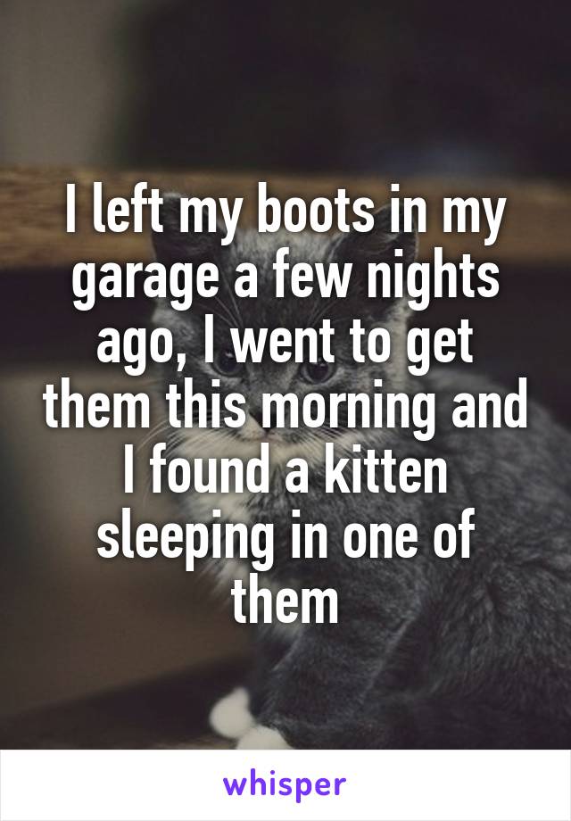 I left my boots in my garage a few nights ago, I went to get them this morning and I found a kitten sleeping in one of them
