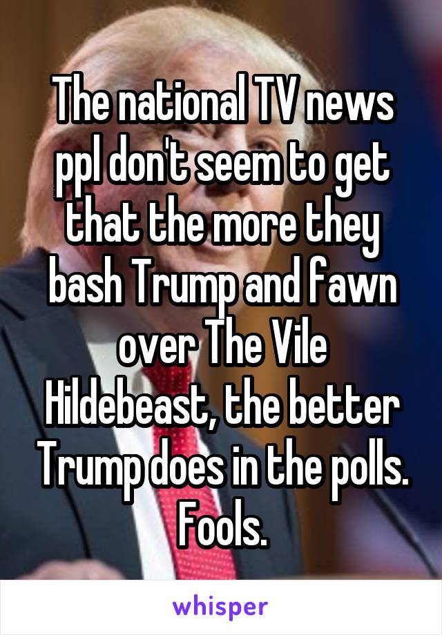 The national TV news ppl don't seem to get that the more they bash Trump and fawn over The Vile Hildebeast, the better Trump does in the polls. Fools.