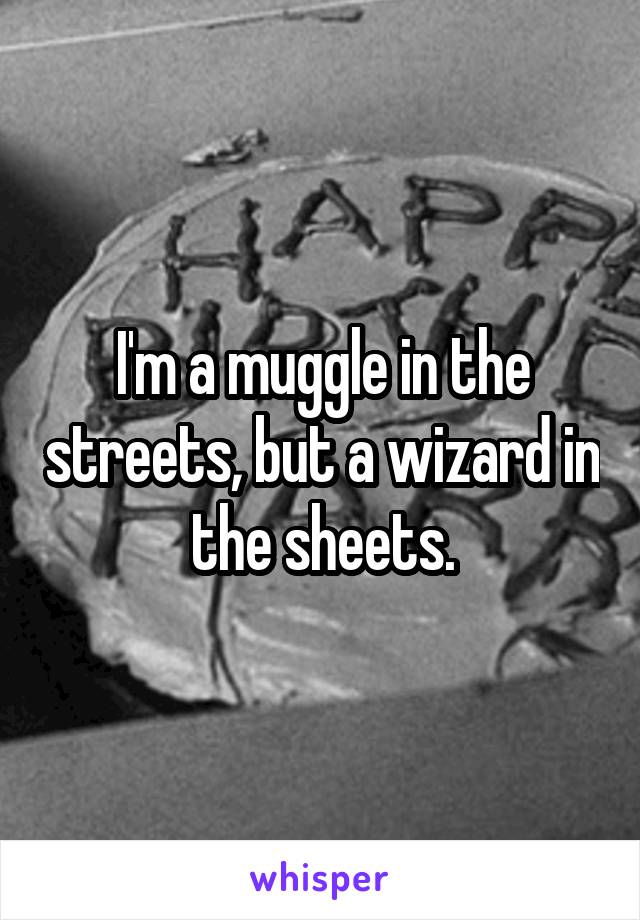 I'm a muggle in the streets, but a wizard in the sheets.