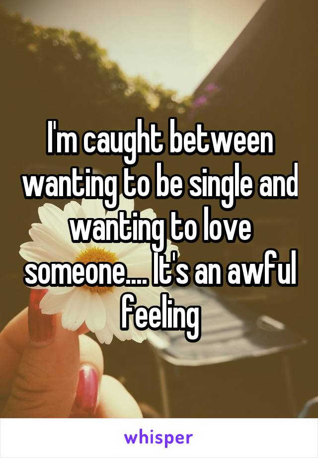 I'm caught between wanting to be single and wanting to love someone.... It's an awful feeling