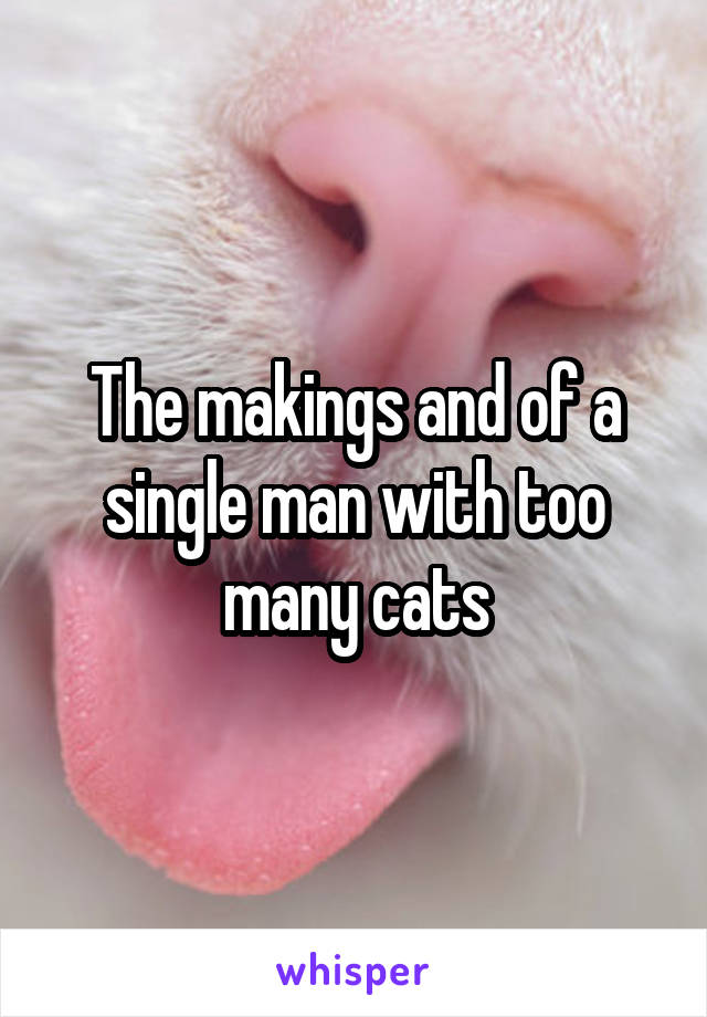 The makings and of a single man with too many cats