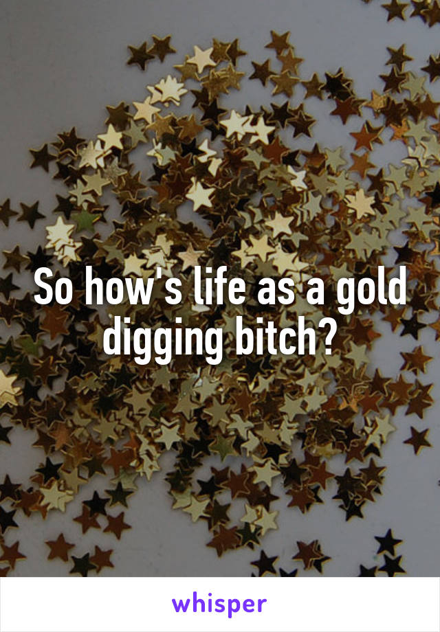 So how's life as a gold digging bitch?