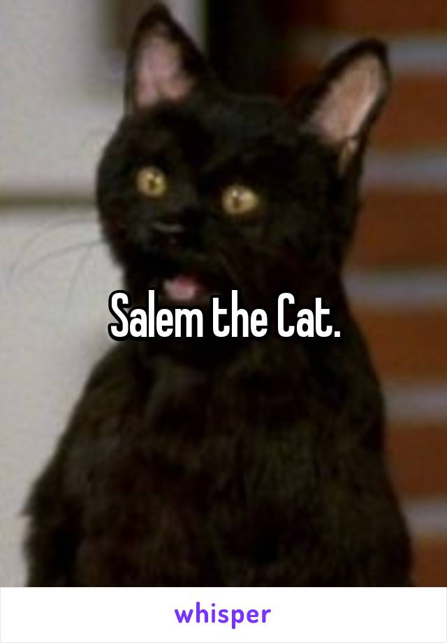 Salem the Cat.
