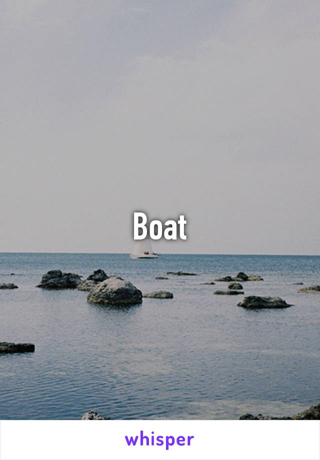 Boat