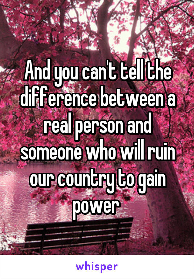 And you can't tell the difference between a real person and someone who will ruin our country to gain power 