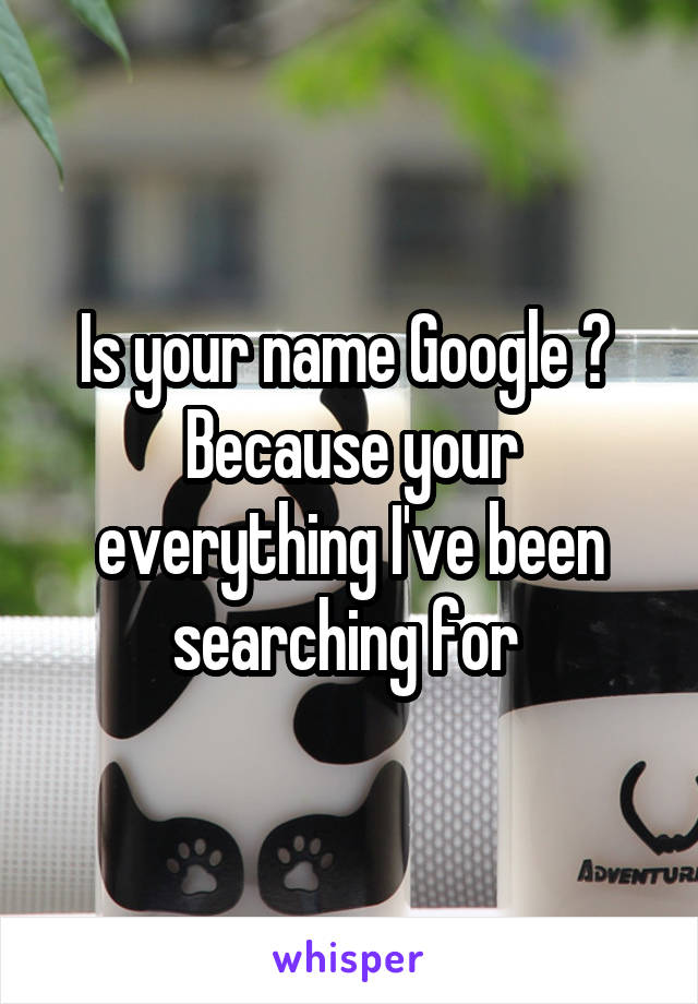 Is your name Google ?  Because your everything I've been searching for 