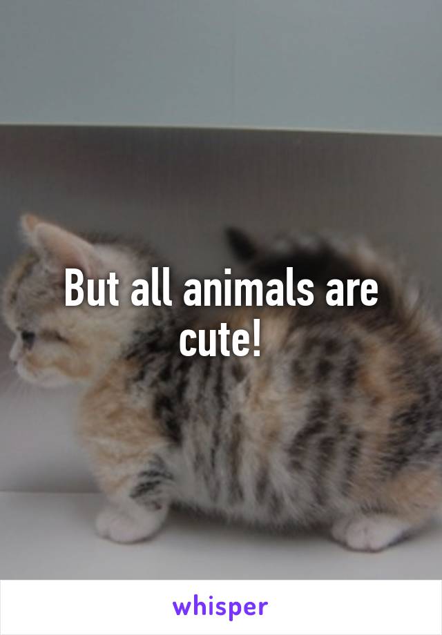 But all animals are cute!